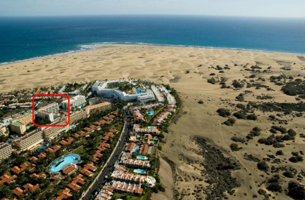 Apartment Palm Trees View Of The Dunes Playa del Ingles  Exterior photo